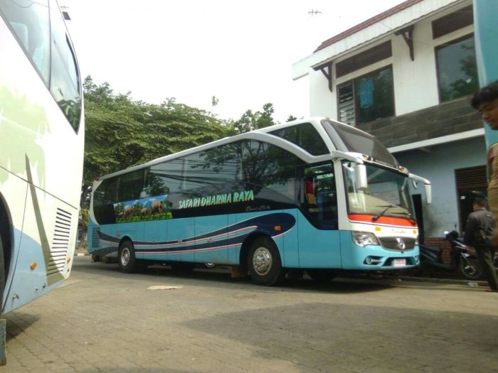 Jadwal Bus Terminal Situbondo Surabaya